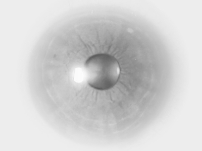 Greyscale cornea eye